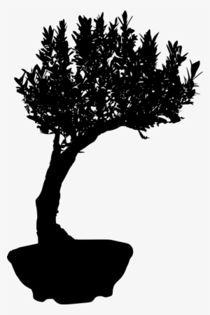 Free Png Bonsai Silhouette Png Images Transparent - Portable Network Graphics