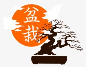 Special Packages - Logo Bonsai