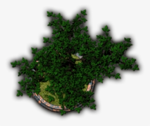 Bonsai6 - Grass
