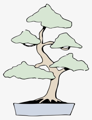 Bonsai Locker Aufrechte Form - Bonsai