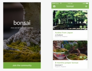 Bonsai Group - Tree