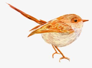 Hand Painted A Realistic Watercolor Bird Png Transparent - Portable Network Graphics