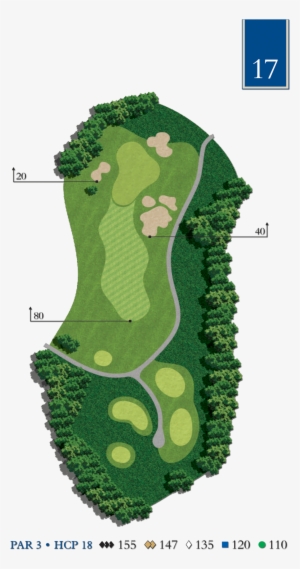 The Lakes Golf Club - Tree