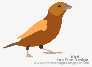 Bird Clipart - Freedom Leisure