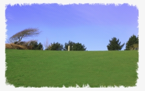 Explore Our Golf Course - Lawn