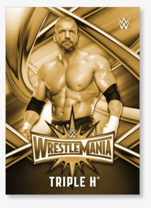 Triple H - Wwe: Wrestlemania 33