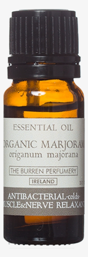 Organic Essential Oil - Glass Bottle
