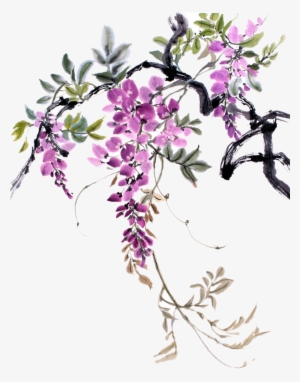 Vines Png Images - Chinese Watercolor Wisteria