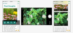 Microsoft Sway For The Iphone - Office Sway