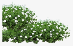 Pure Li Fi Session / Bangermaster Dj Set / Visuals - Nashville Zoo At Grassmere