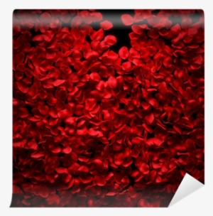 Rose Petals Background On Black Ground Wall Mural • - Petal