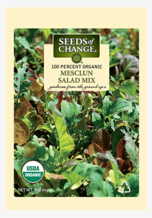 Organic Mesclun Mix Salad Mix Seeds - Mesclun Mix Salad