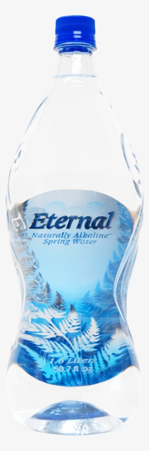 Eternal Naturally Alkaline Artesian Water - Eternal Water 1 Liter