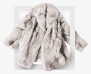 1 - 1 - 0clothes - Veste De Fourrures