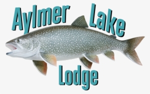 Aylmer Lake Lodge - Aylmer Lake