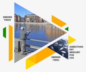 Dead Fish In The Oceans, Lakes And Rivers, Prompted - Cast A Fishing Line