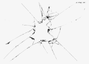 Pin Bullet Hole Clipart - Insect