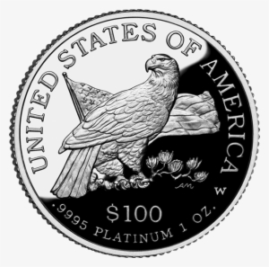 2003 Aeplat Rev - Great Lakes State Michigan