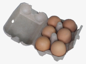 Eco-friendly Customized Egg Carton Crafts,egg Packaging,egg - Egg Carton
