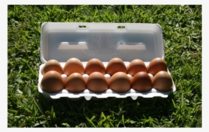 Carton Of Eggs Png Download - Grass