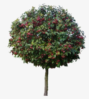 Drawing Models - Drawing