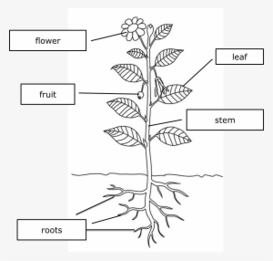 absorb soil pngkit