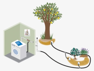 Rainwater Harvesting And Graywater Reuse In Sunnyvale