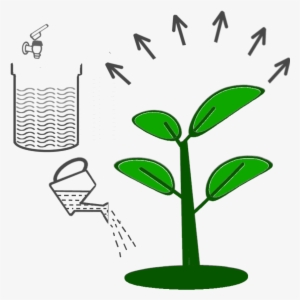 6 Dilute Smartbrew And Water Plants - Waste