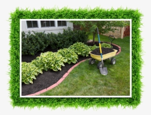 Mulching Around The Bushes - Grass And Mulch Divider