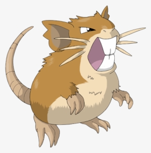 Raticate - Raticate Pokemon - 500x500 PNG Download - PNGkit
