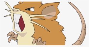 Pokemon Raticate