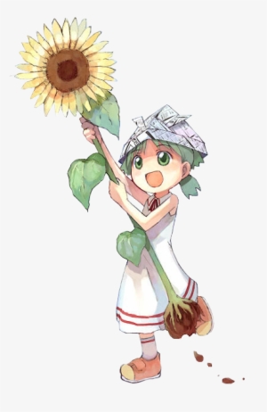 Members - Yotsuba Sunflower