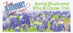 Saddlehorn Winery On Twitter