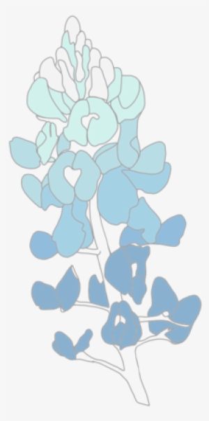 Bluebonnet - Png - Grape Hyacinth