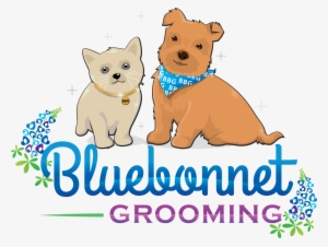 Welcome To Bluebonnet Grooming - Meadowsmarvels Rose Gold Blush And Gold Arrow Birthday