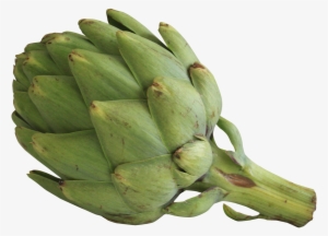 Derived From Plants Such As Fruits, Nuts, And Cereal