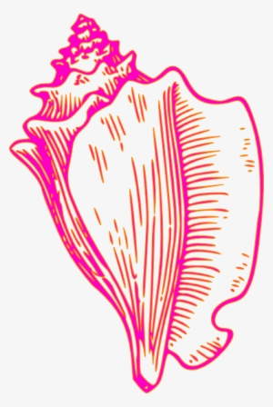 Pink Yellow Conch Shell 2 Clip Art At Clker - Conch Clipart