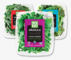 Food Poisoning - Broccoli