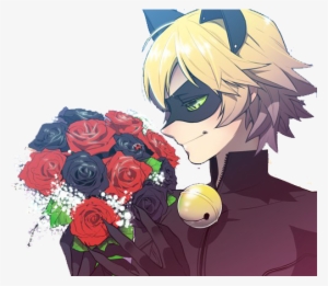 #miraculous Ladybug Chat Noir #anime #art #sweet #cute - Chat Noir Con Rosas