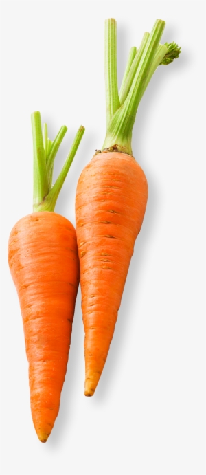 How Does It Work - Food