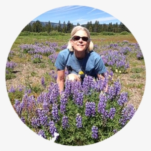 Tour To Yellowstone - Tourism