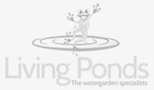 Fish Net Skimmer - Pond