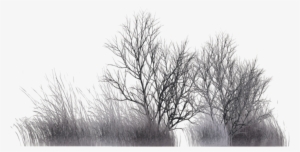 Winter Vegetation By Wolverine041269 On Deviantart - Winter Bushes Png
