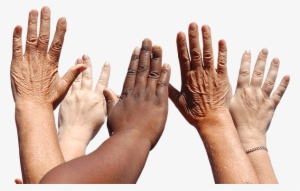 Having A Multicultural Family And Friends Is A Blessing, - Thanksgiving: More Than Just Turkey