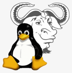 Penguin - Gnu Linux