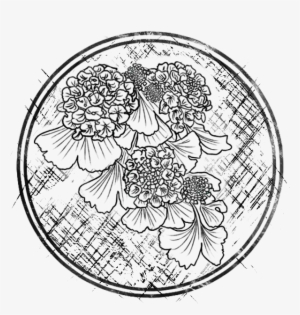 Chassia And Teylon - Line Art