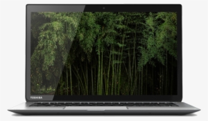 Toshiba Computer Repair Services