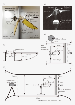 Robotic Flapper Attached On A Roll Bearing And Vertical - Drawing