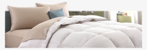 Best At Down Comforter Header