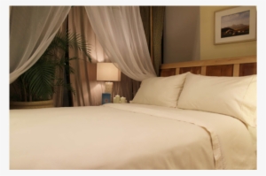 Mysheet Set Organic Cotton '' Sleep & Beyond'' - Sleep & Beyond Organic 400 Thread Count Sheet Set